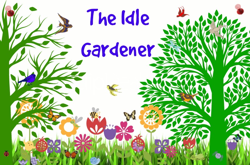The Idle Gardener