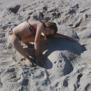 The Sea Turtle